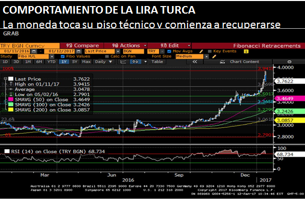 COMPORTAMIENTO DE LA LIRA TURCA